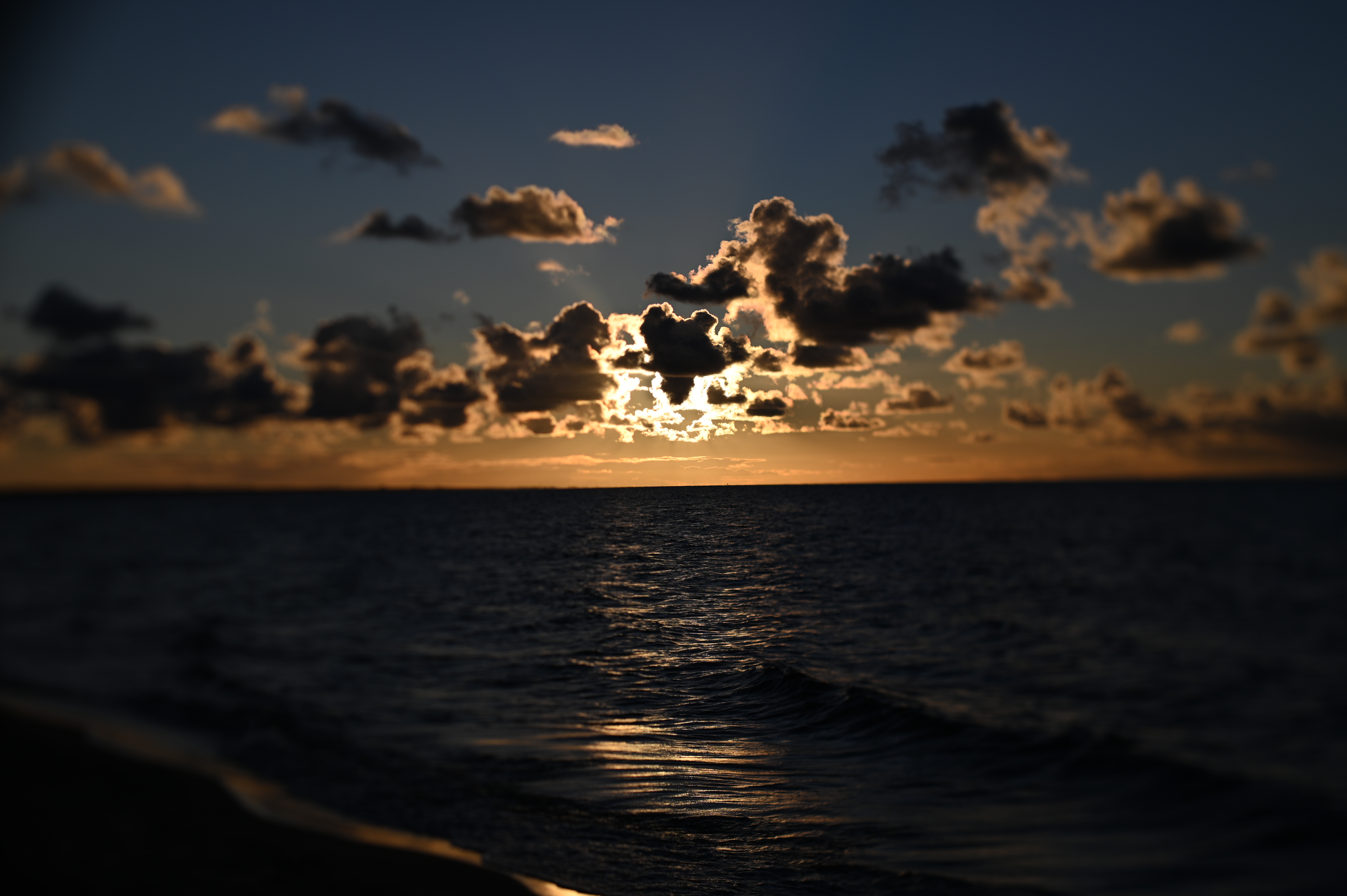 2025/10/18 - walk/DSC_0287.JPG